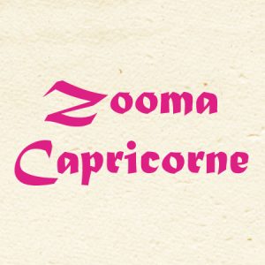 logozooma